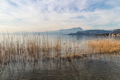 Scenic view of lake against sky