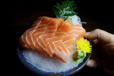 Close-up of hand holding fish