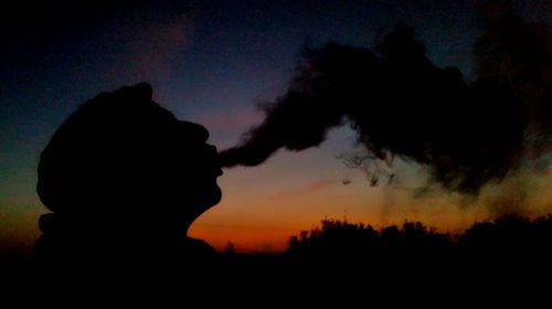 Silhouette of trees against sky at sunset