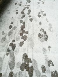 High angle view of footprints on sand