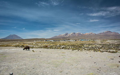 View of landscape with mountains in background