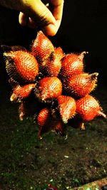 Close-up of hand holding strawberry