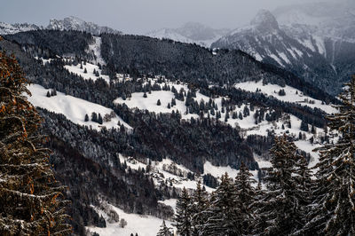 Scenic view of snowcapped mountains during winter