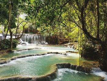 Scenic view of waterfall in forest