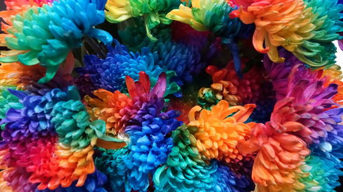 High angle view of multi colored flowers on blue sea