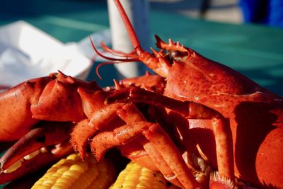 Close-up of crab on barbecue grill