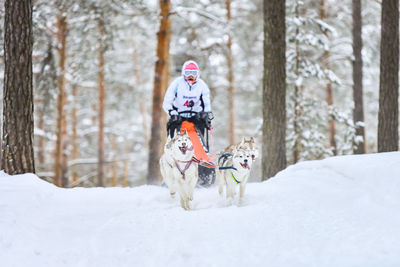 View of a dog in snow