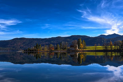 Reflection of trees in lake