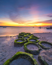 Scenic view of sea during sunset