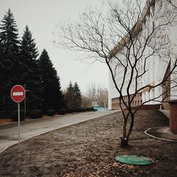 Empty road with trees in background