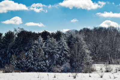 Snow covered landscape against sky