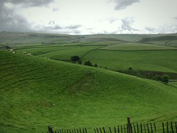 Scenic view of grassy field against cloudy sky