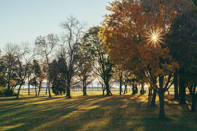 Scenic view of grassy field against sky