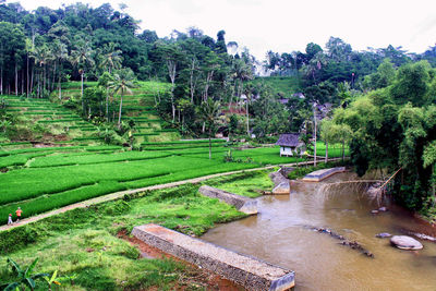 Scenic view of landscape against sky