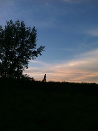 Silhouette of man on tree against sky at sunset