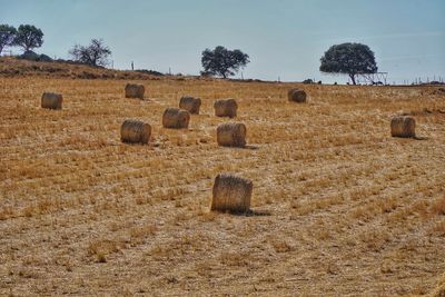 Hay bales on field against sky