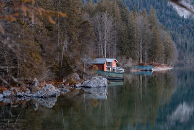 Scenic view of lake in forest