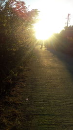Scenic view of landscape during sunset