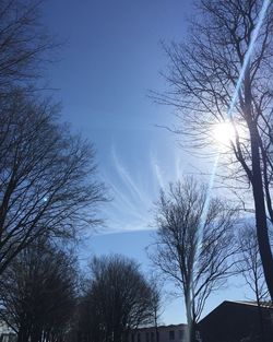 Low angle view of bare trees against blue sky