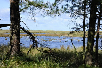 Scenic view of lake