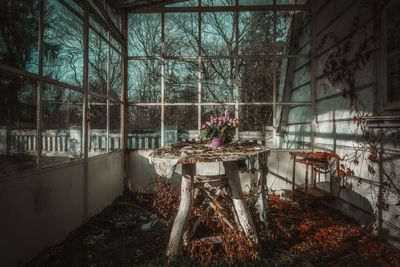 Potted plants by window in abandoned building