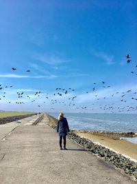 Rear view of man feeding birds on beach