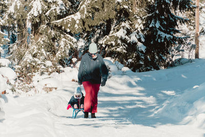 Rear view of man sitting on snow covered field