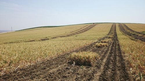 Scenic view of rural landscape