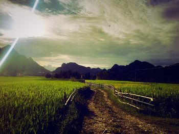 Scenic view of landscape against sky