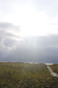 Scenic view of field against sky