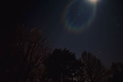Low angle view of silhouette trees against sky at night