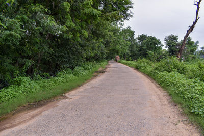 Road amidst trees against sky