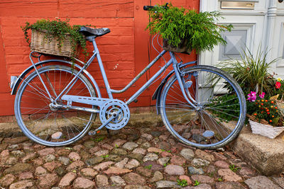 Bicycle parked by plants outside house