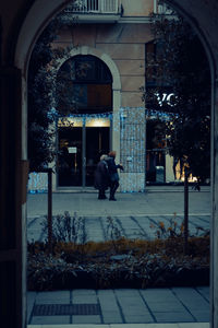 Rear view of man on building seen through window