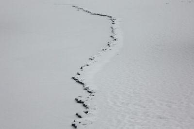 High angle view of footprints in snow