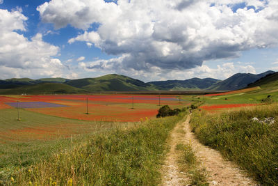 Scenic view of landscape against sky