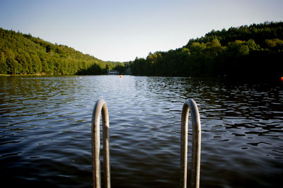 Reflection of trees in water