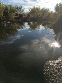 Reflection of trees in water against sky