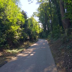 Road passing through trees