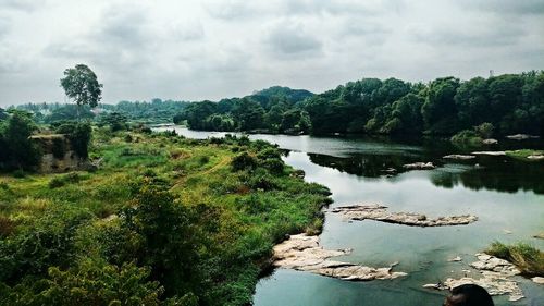 Scenic view of river flowing through rocks