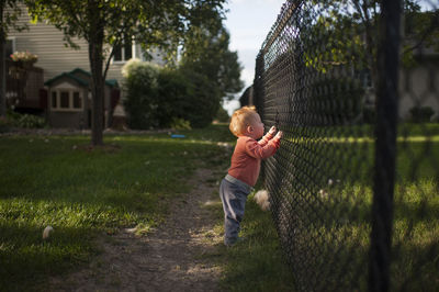 Side view of baby boy looking through chainlink fence at backyard