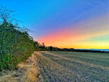 Scenic view of field against sky during sunset