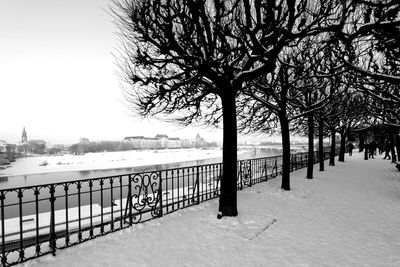 Trees by lake against clear sky