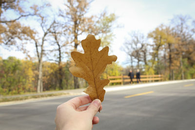 Human hand holding leaf against trees