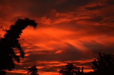 Red luminescence of aurora borealis atmospheric phenomenon