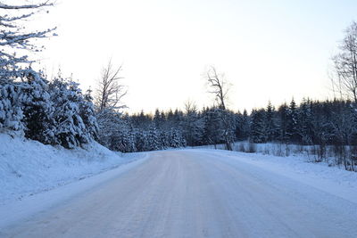 Road amidst snow covered plants against sky