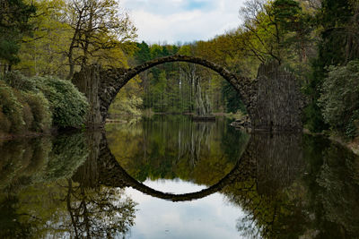 Reflection of trees on water against sky