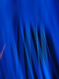 Close-up of light trails against black background