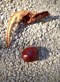 Close-up of red wall