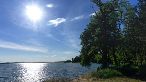 Scenic view of sea against sky on sunny day